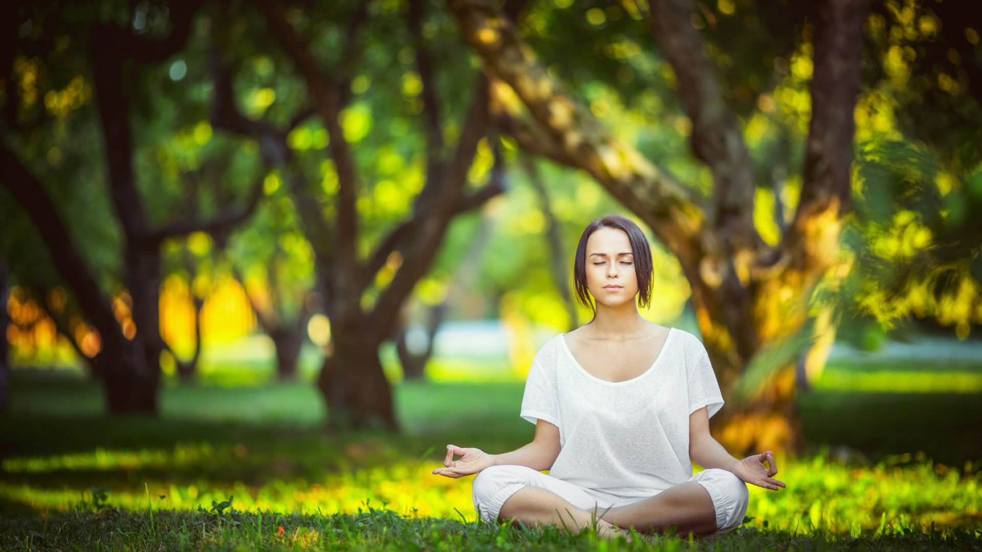 乐动体育下载-费耶诺德全明星更衣室发声,萨克拉门托国王备战社区盾,巴萨加时末段转战荷甲